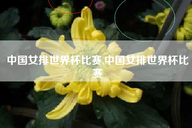 中国女排世界杯比赛,中国女排世界杯比赛