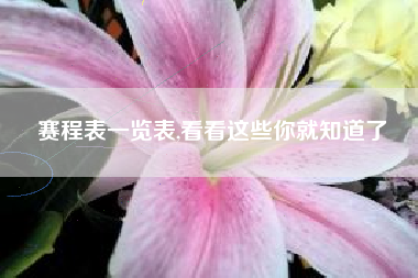 赛程表一览表,看看这些你就知道了