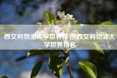 西交利物浦大学世界排名,西交利物浦大学世界排名