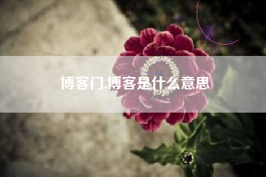 博客门,博客是什么意思