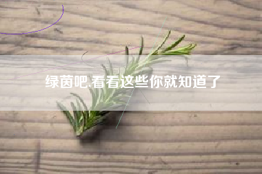 绿茵吧,看看这些你就知道了