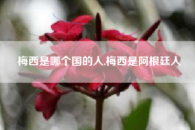 梅西是哪个国的人,梅西是阿根廷人