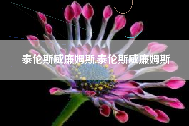 泰伦斯威廉姆斯,泰伦斯威廉姆斯