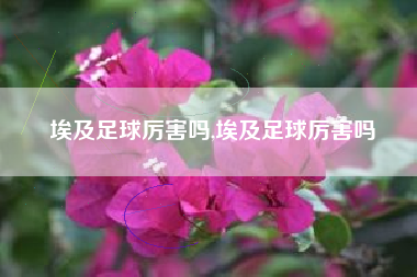 埃及足球厉害吗,埃及足球厉害吗