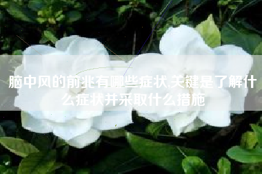 脑中风的前兆有哪些症状,关键是了解什么症状并采取什么措施