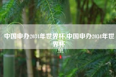中国申办2034年世界杯,中国申办2034年世界杯