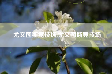 尤文图斯竞技场,尤文图斯竞技场