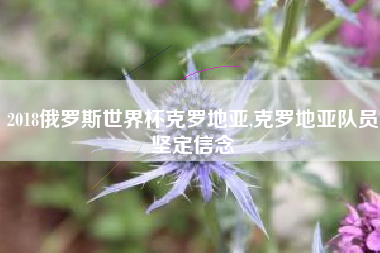 2018俄罗斯世界杯克罗地亚,克罗地亚队员坚定信念