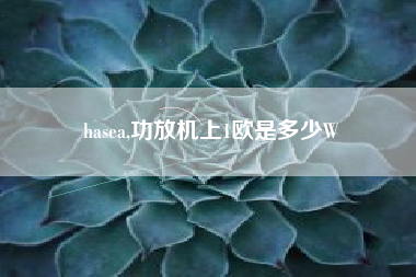 hasea,功放机上1欧是多少W