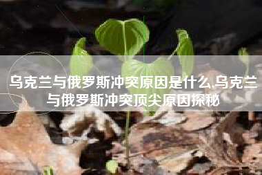 乌克兰与俄罗斯冲突原因是什么,乌克兰与俄罗斯冲突顶尖原因探秘