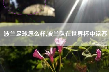 波兰足球怎么样,波兰队在世界杯中常客
