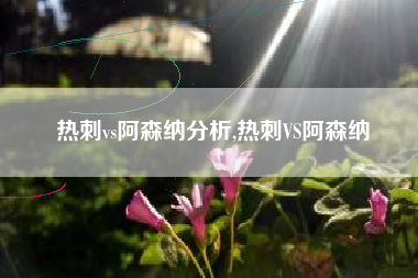 热刺vs阿森纳分析,热刺VS阿森纳