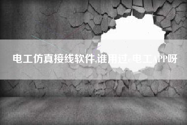 电工仿真接线软件,谁用过e电工APP呀