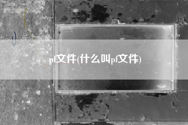 pf文件(什么叫pf文件)