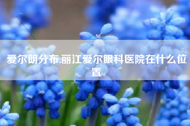 爱尔朗分布,丽江爱尔眼科医院在什么位置