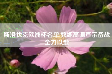 斯洛伐克欧洲杯名单,教练高调宣示备战全力以赴