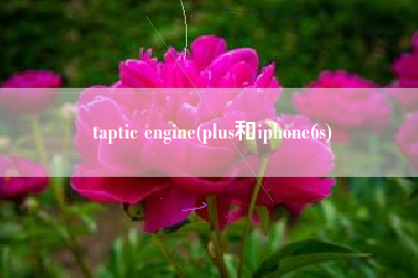 taptic engine(plus和iphone6s)