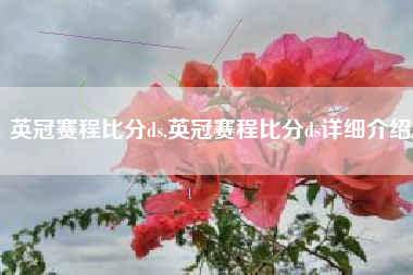 英冠赛程比分ds,英冠赛程比分ds详细介绍