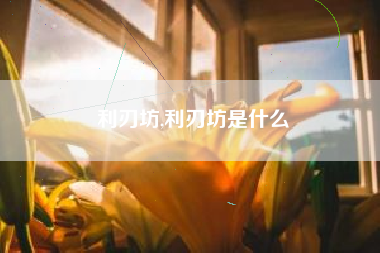 利刃坊,利刃坊是什么
