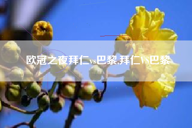 欧冠之夜拜仁vs巴黎,拜仁VS巴黎