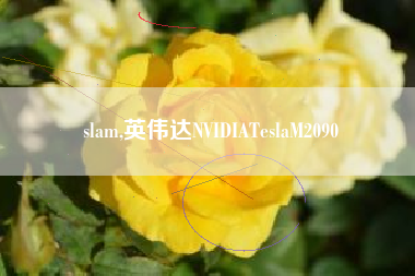 slam,英伟达NVIDIATeslaM2090