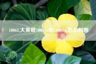 10061,大黄靴10061w和10061m怎么判断