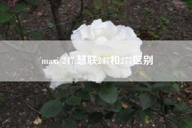 maxi 247,慧联247和277区别