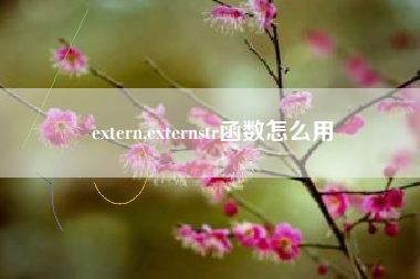 extern,externstr函数怎么用