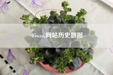 05wan,网站历史数据