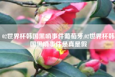 02世界杯韩国黑哨事件葡萄牙,02世界杯韩国黑哨事件是真是假