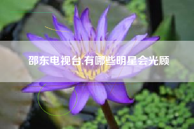 邵东电视台,有哪些明星会光顾