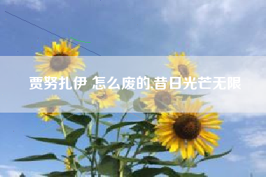 贾努扎伊 怎么废的,昔日光芒无限