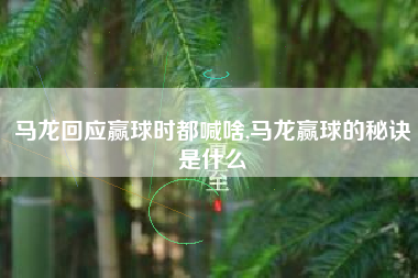 马龙回应赢球时都喊啥,马龙赢球的秘诀是什么