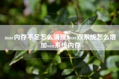 mac内存不足怎么清理,mac双系统怎么增加win系统内存