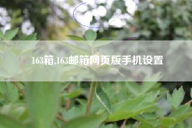 163箱,163邮箱网页版手机设置