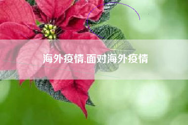 海外疫情,面对海外疫情