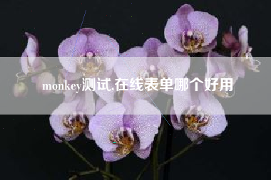 monkey测试,在线表单哪个好用