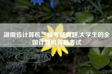 湖南省计算机二级考试真题,大学生的全国计算机等级考试