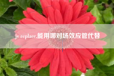 js replace,能用哪对场效应管代替