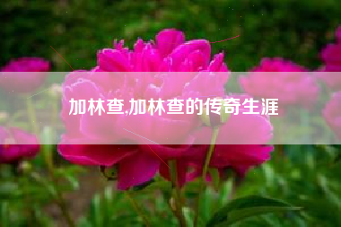 加林查,加林查的传奇生涯