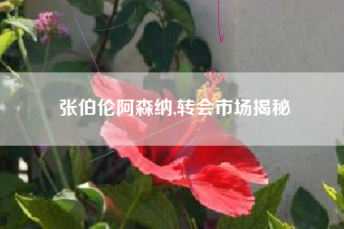 张伯伦阿森纳,转会市场揭秘