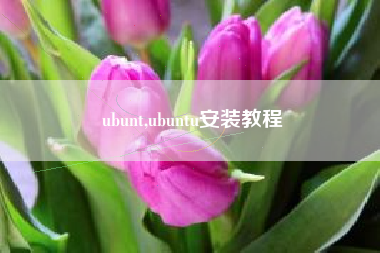 ubunt,ubuntu安装教程