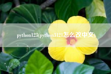 python123(python3121怎么改中文)