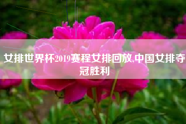 女排世界杯2019赛程女排回放,中国女排夺冠胜利
