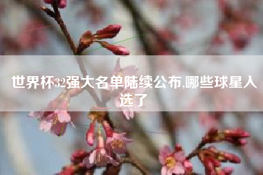 世界杯32强大名单陆续公布,哪些球星入选了