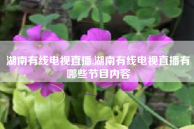 湖南有线电视直播,湖南有线电视直播有哪些节目内容