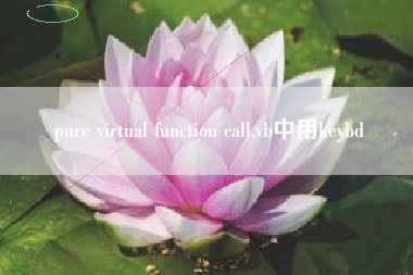 pure virtual function call,vb中用keybd