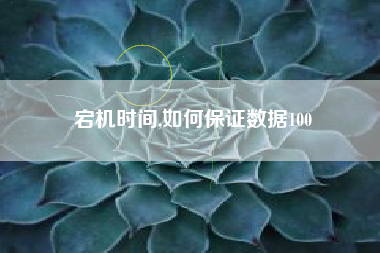 宕机时间,如何保证数据100