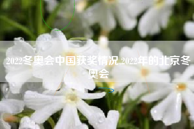 2022冬奥会中国获奖情况,2022年的北京冬奥会