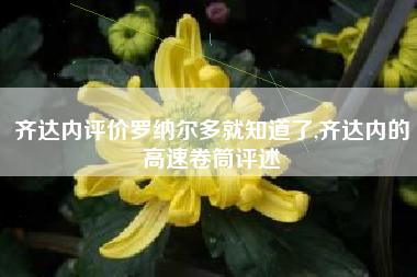 齐达内评价罗纳尔多就知道了,齐达内的高速卷筒评述